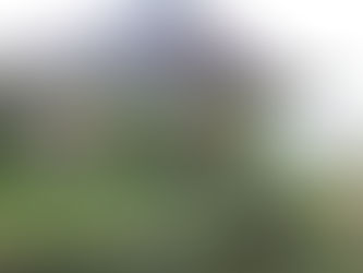 Sekdes Taring Makan Gaji Buta, Pelayanan Diambil Alih Kasi Pemerintahan