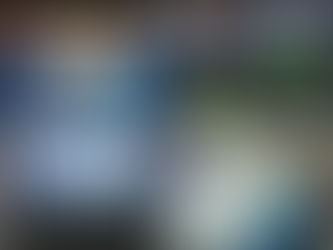 Kemendagri Apresiasi Sulawesi Tenggara Sebagai Provinsi Pertama Gelar Musrenbang RKPD Tahun 2024