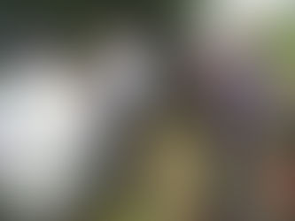 Penyidik Tahban Polres Gowa Tinjau Tanah Kebun Yang Diserobot Dua Orang Anggota Polisi.