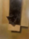 Toki Painting.jpeg