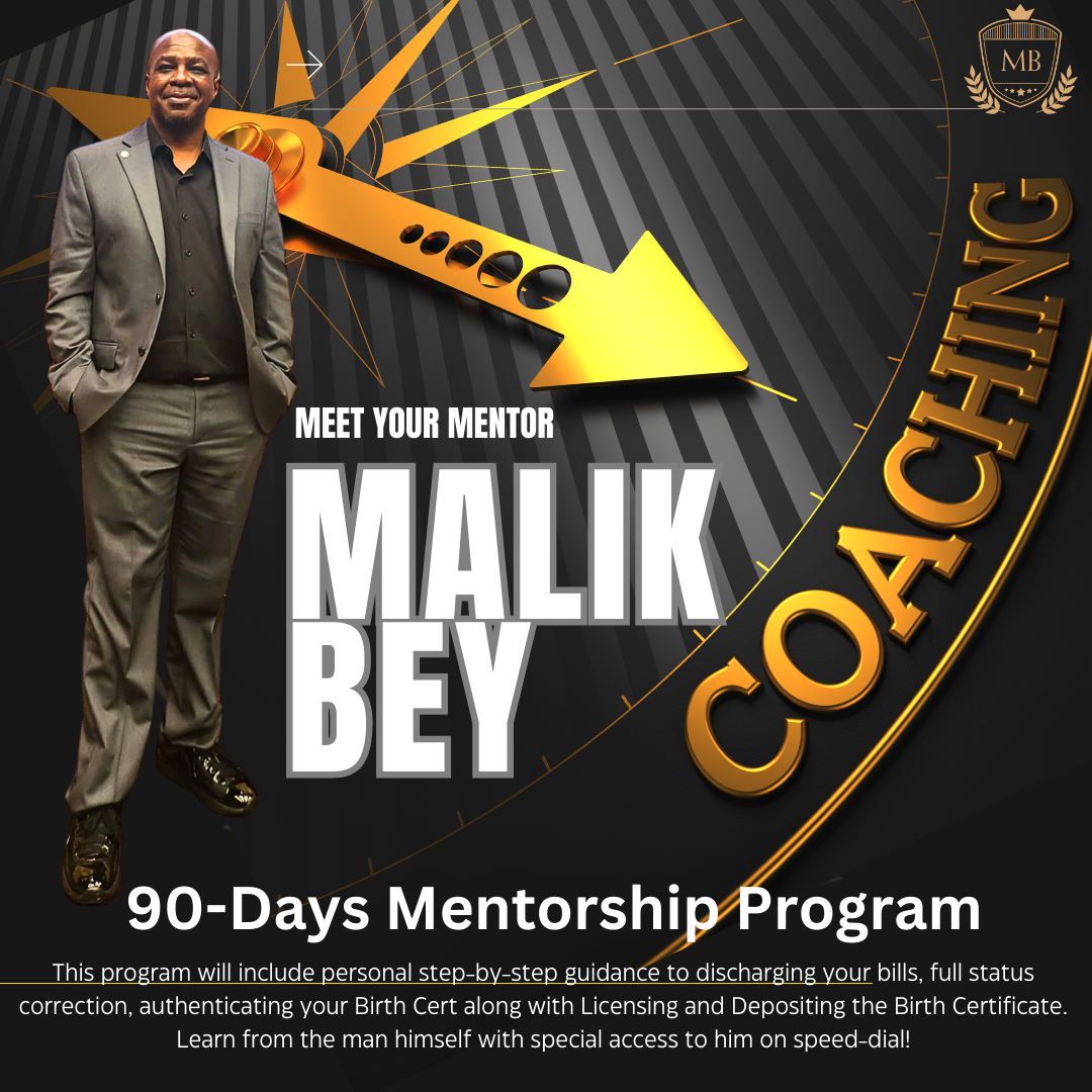 90-Day Mentorship Program