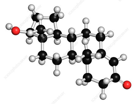 testosterone molecule