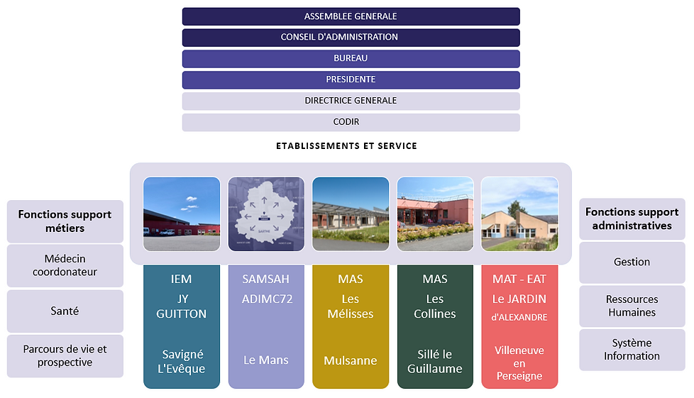ORGANIGRAMME SANS NOM.png