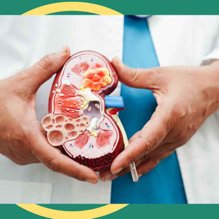Shockwave Therapy vs. Laser Therapy for Kidney Stones: Pros, Cons, and What to Expect