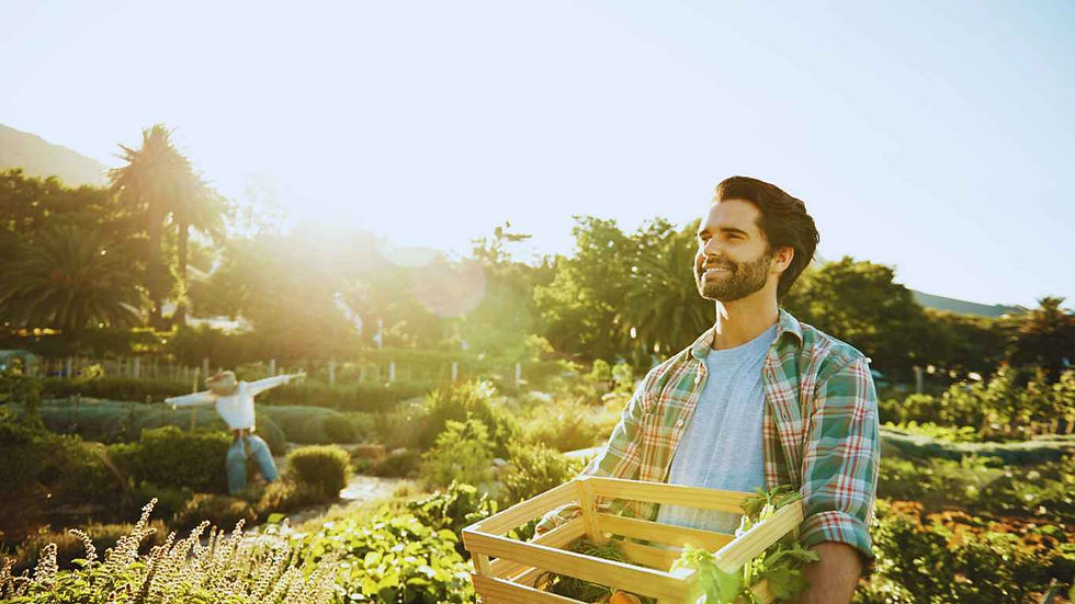 A man carrying a crate of fresh vegetables in a garden.