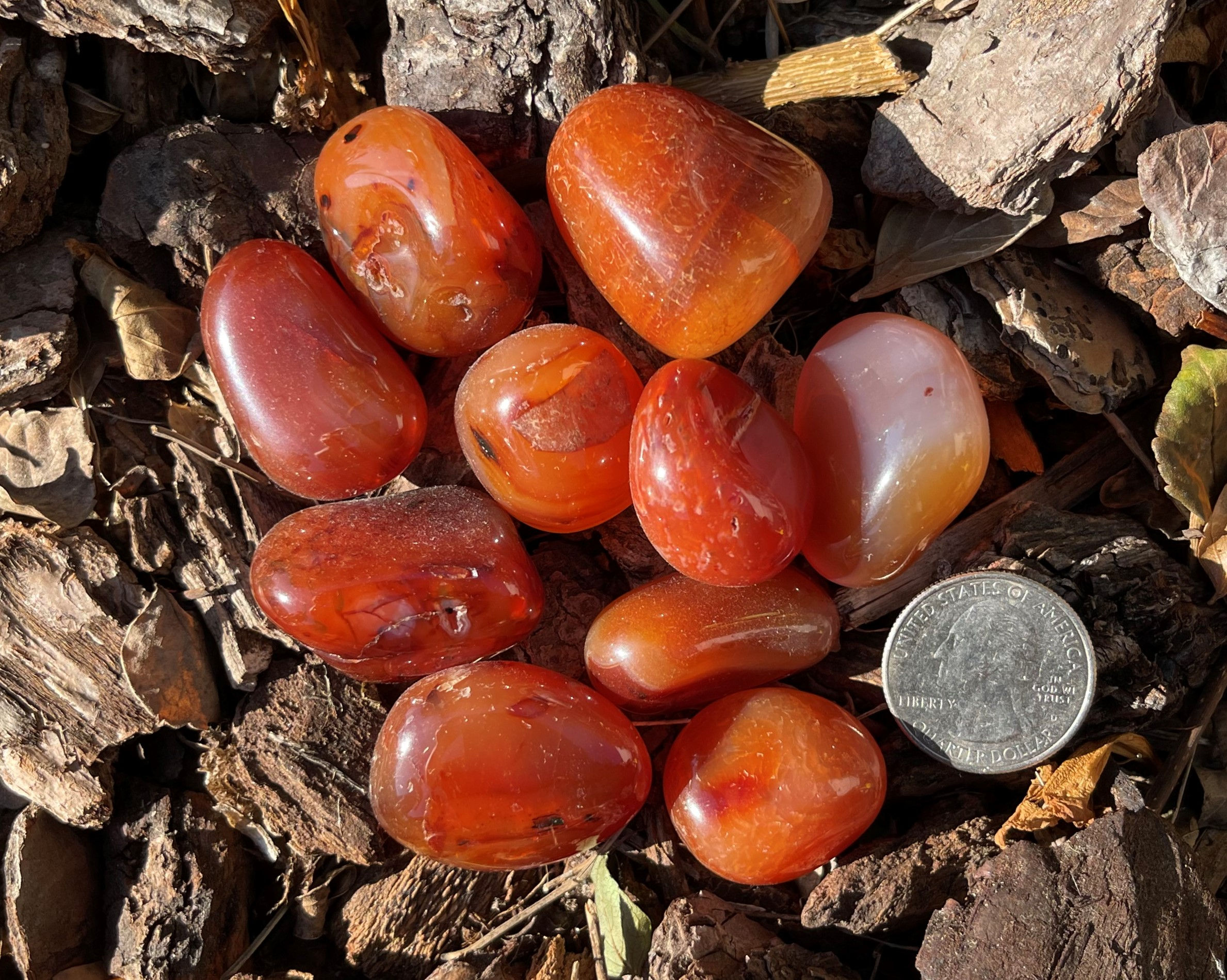 Carnelian