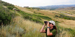 Ensia on Conservation Development