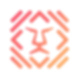 5Lion Holdings' logo