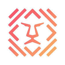 Logo 5Lion Holdings