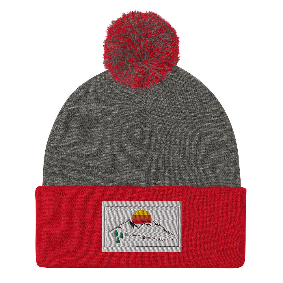 Thumbnail: Team Beanie