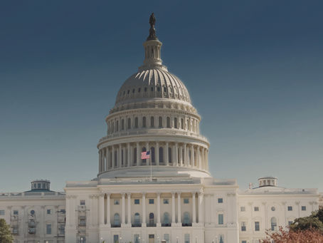 The Indigo Insider December 2025