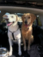 En route to a big hike