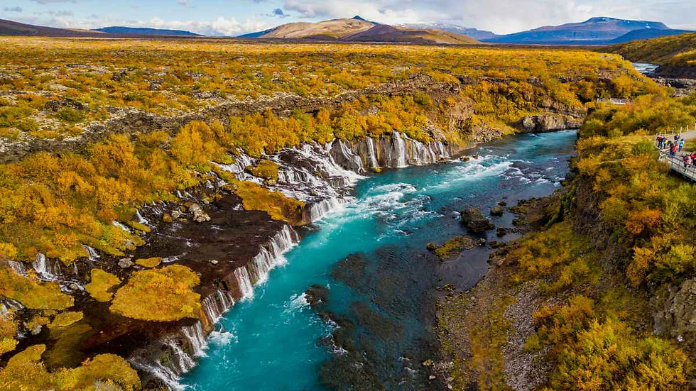 things to do in East Iceland