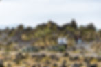 Cairns in Iceland across a dessert
