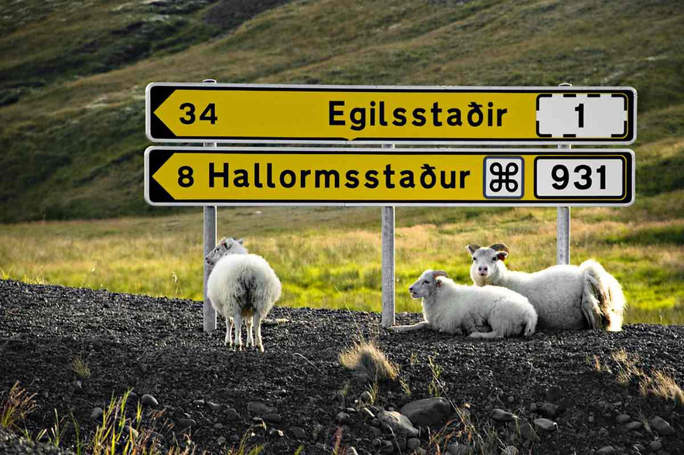 Egilsstaðir