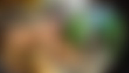 The Best Food in Iceland: Must-Try Eats During your Next Trip