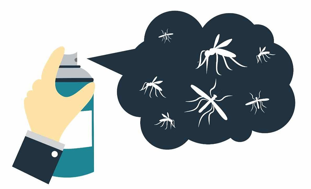 Are There Mosquitoes in Iceland? 🤔