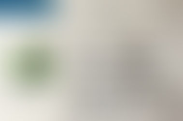 Ce mardi  5 septembre la FNAPAEF a été auditionnée au parlement par Madame Iborra dans le cadre de s