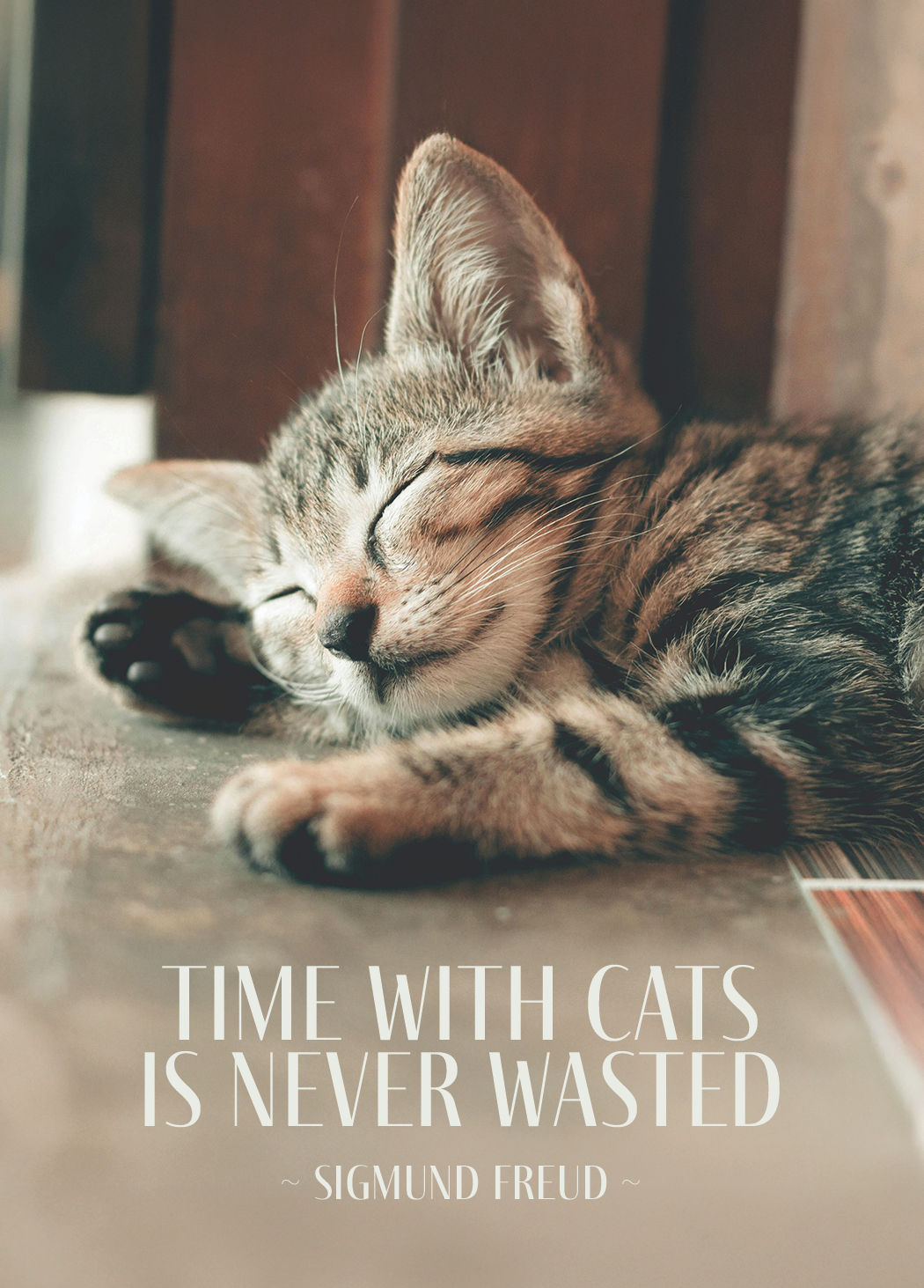 #032 - Time With Cats