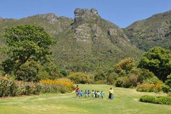 Mountain views at Kirstenbosch Gardens Cape Town South Africa