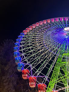 4C5FE707-986E-4C57-B0DC-EF47686FE917_1_102_o.jpeg