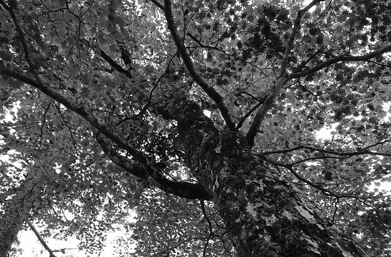 2018-0916_time13-44-45_DSCF4710_260761.j