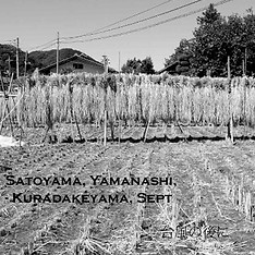 タイトル、サブ、MT TRIPS, 倉岳山 2017-09 v2 (内容）.jp