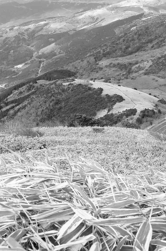 玄岳_4.jpg