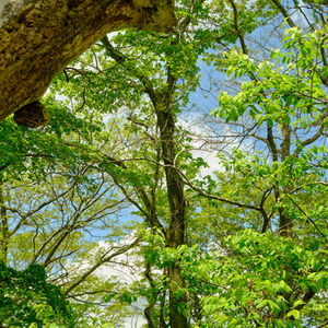 Spring Camping Trip to JO-ETSU