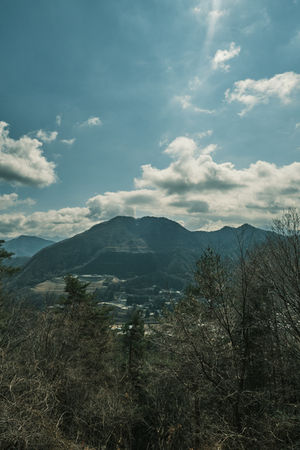 春、ぽかぽか殿平