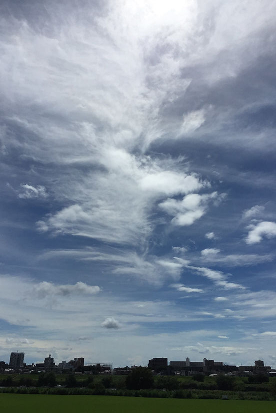 F8A958F1-9700-4E24-8E0F-C2A25287EF19.jpg