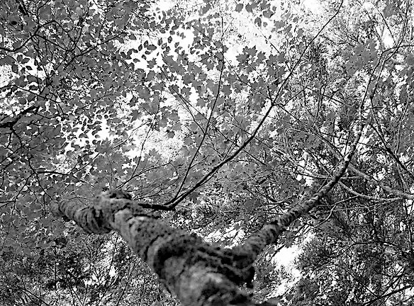 C33_2017-0910_time12-27-37_DSCF7918_2149
