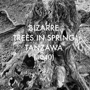 BIZARRE TREES IN SPRING, HENMURO-YAMA, 