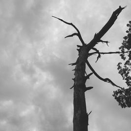 MOUNTAINS IN OKUTAMA, TOKYO