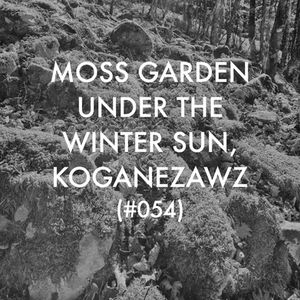 #052 FOREST IN WINTER, OUGI-YAMA 2025, A STUDY