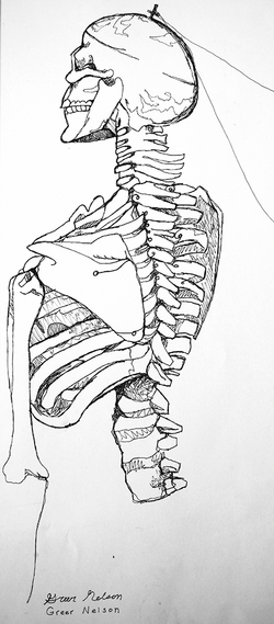 Morbid Contour