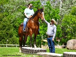 Mountain trail obstacle horse training with TJ Clibborn True Partnership Horse Training