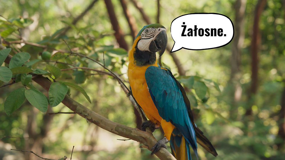 Papuga wewnętrzny krytyk