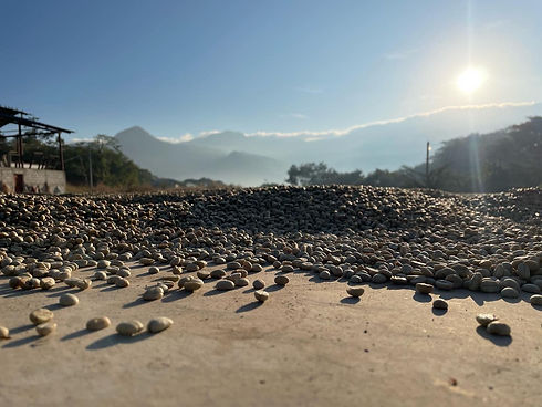 WhatsApp Image 2023-02-22 at 12.57.01 (1).jpeg