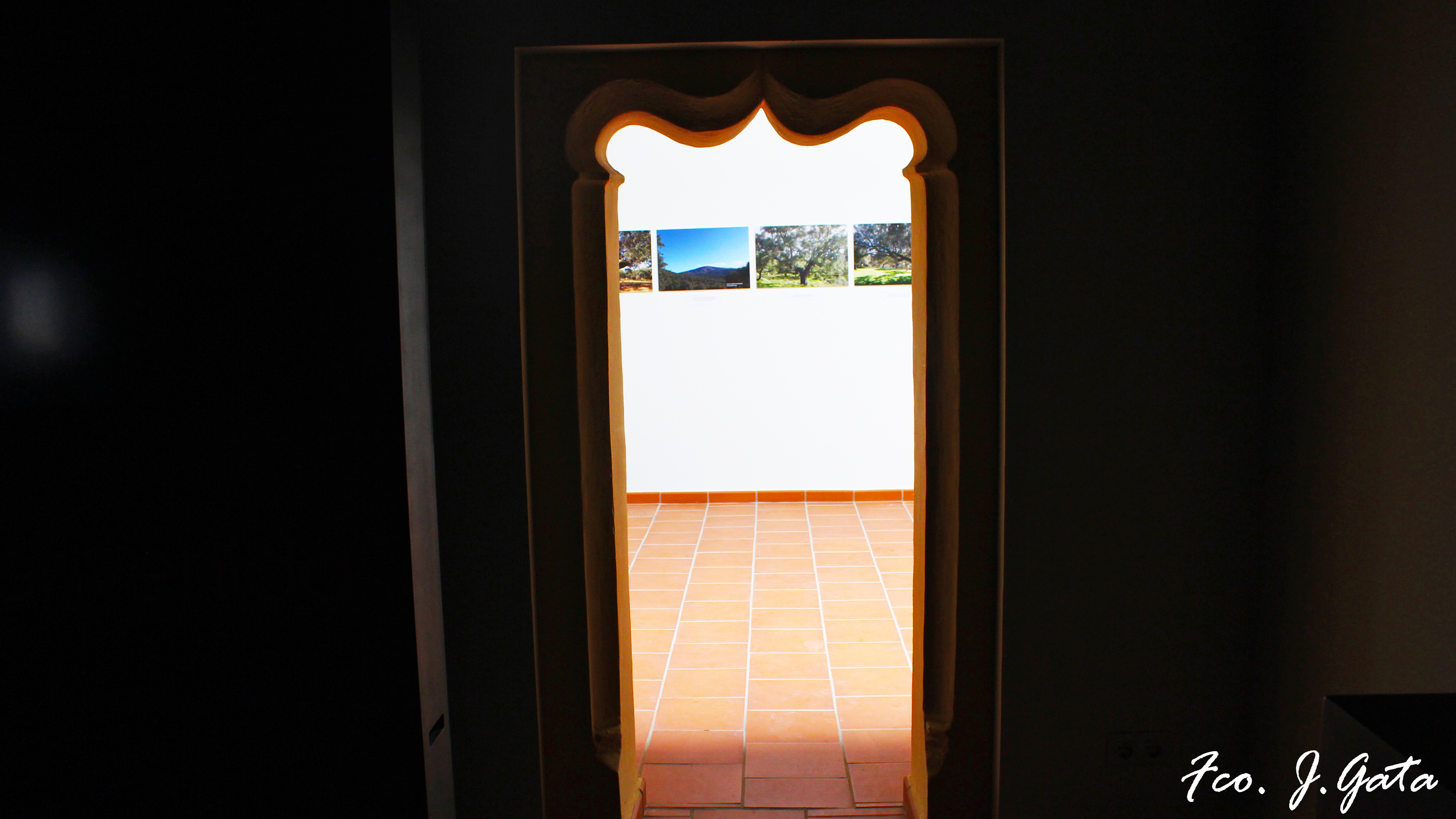 Puerta sala de exposiciones