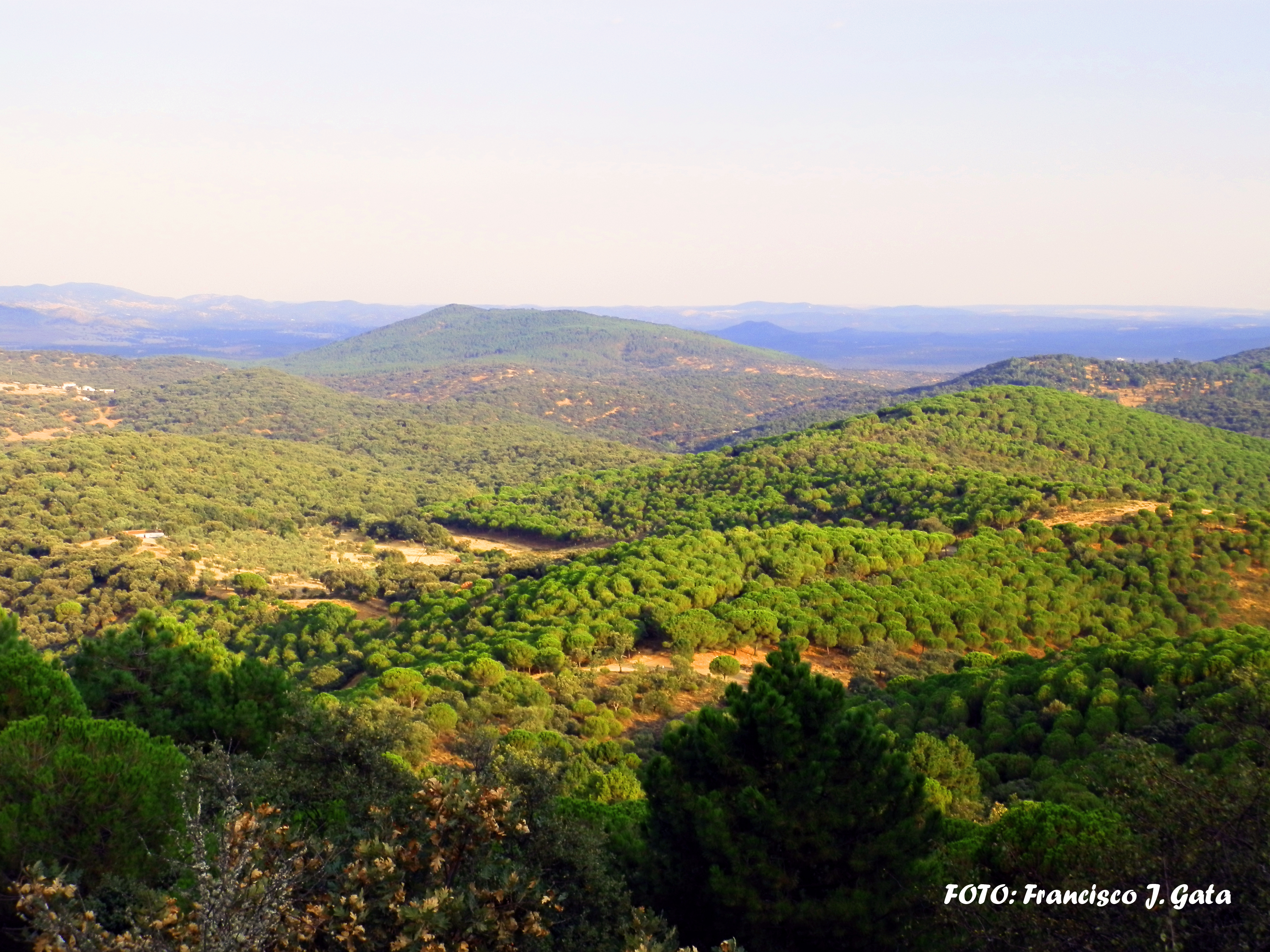 Vistas desde el Monasterio
