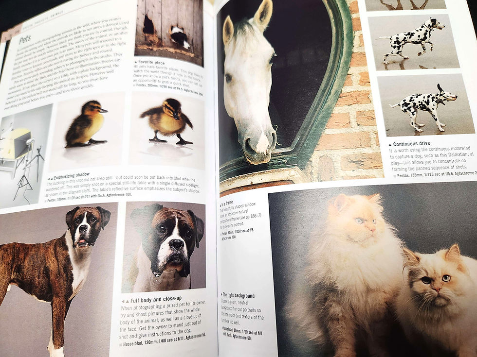 Thumbnail: "The New Manual of Photography" by John Hedgecoe, hardback book photo guide