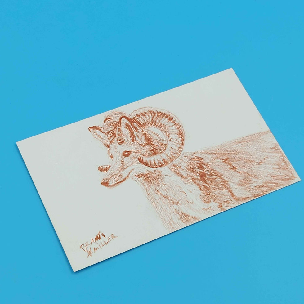 Thumbnail: Fox with Ram Horns Drawing: Original Art of Fantasy Creature