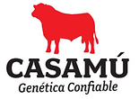 CASAMU.png