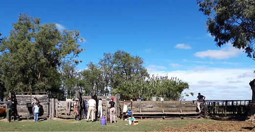 1369475b-31c8-4849-92cd-725bc7c260b9.jfi