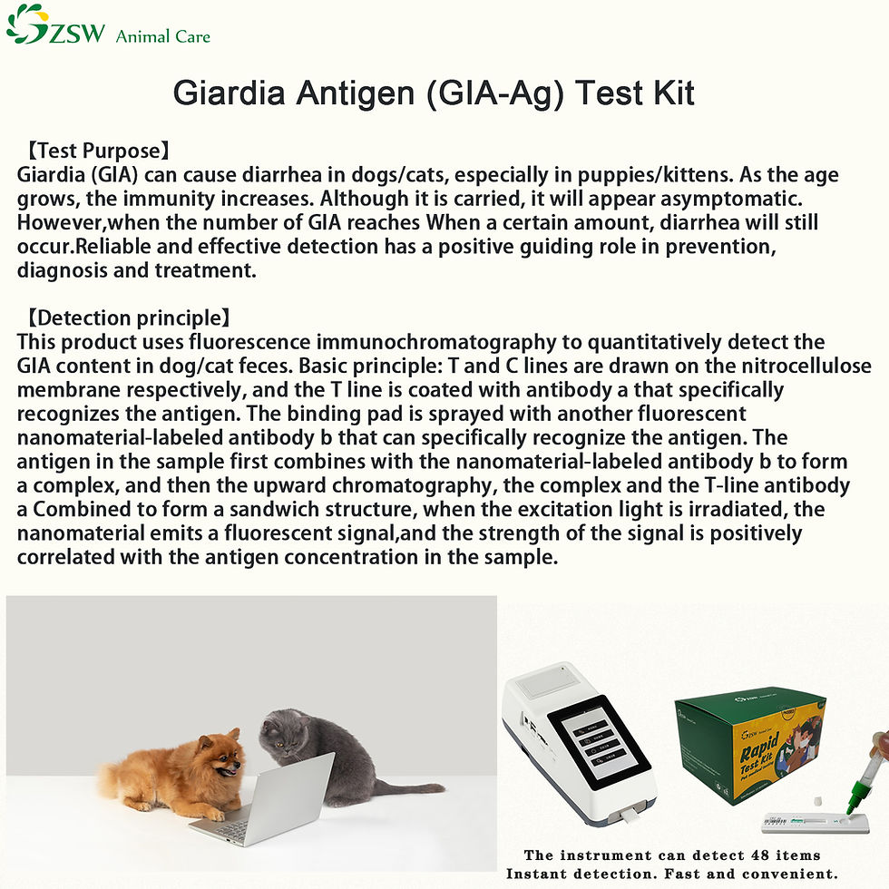 縮圖：Giardia Antigen (GIA-Ag) Test Kit