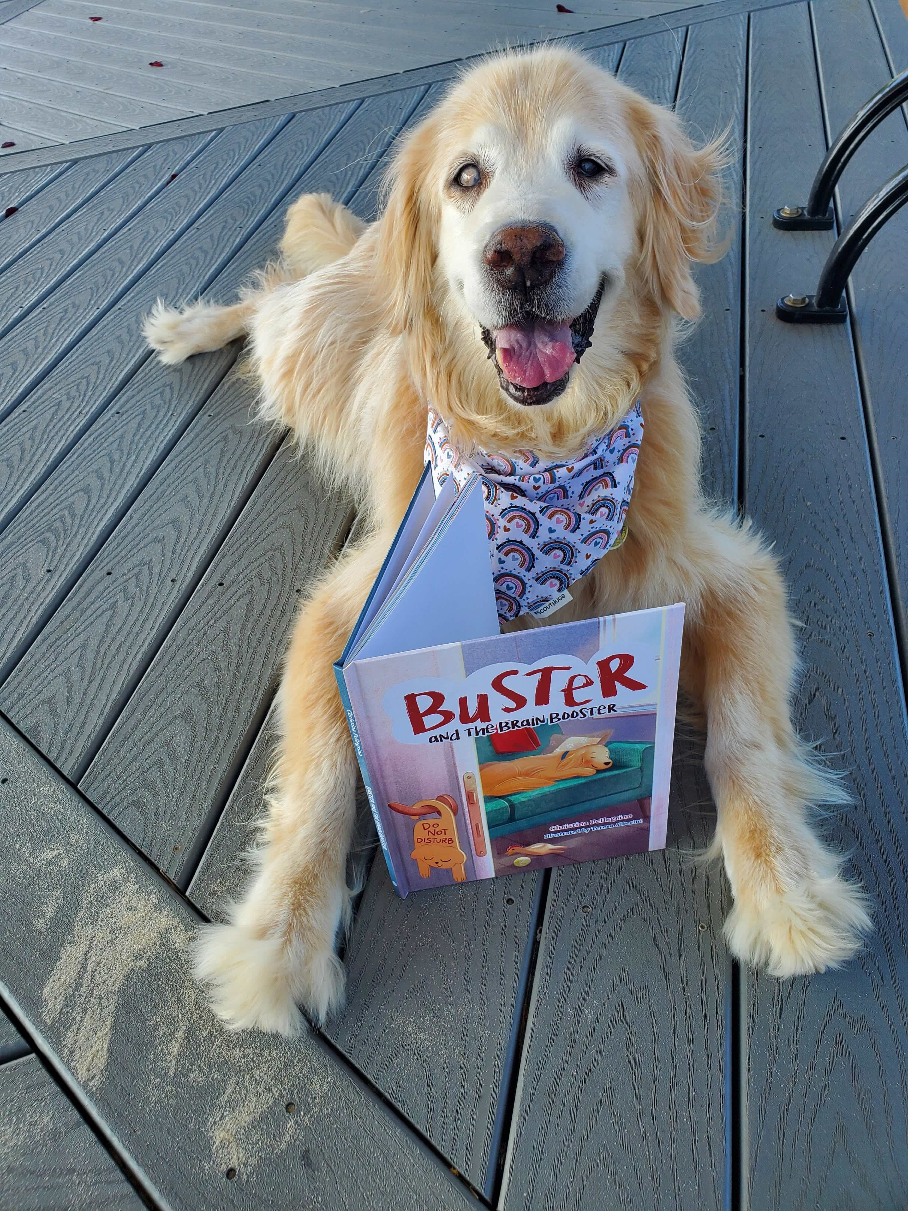 Therapy dog Buster with Cover of Buster and the Brain Bully by Christina Pellegrino