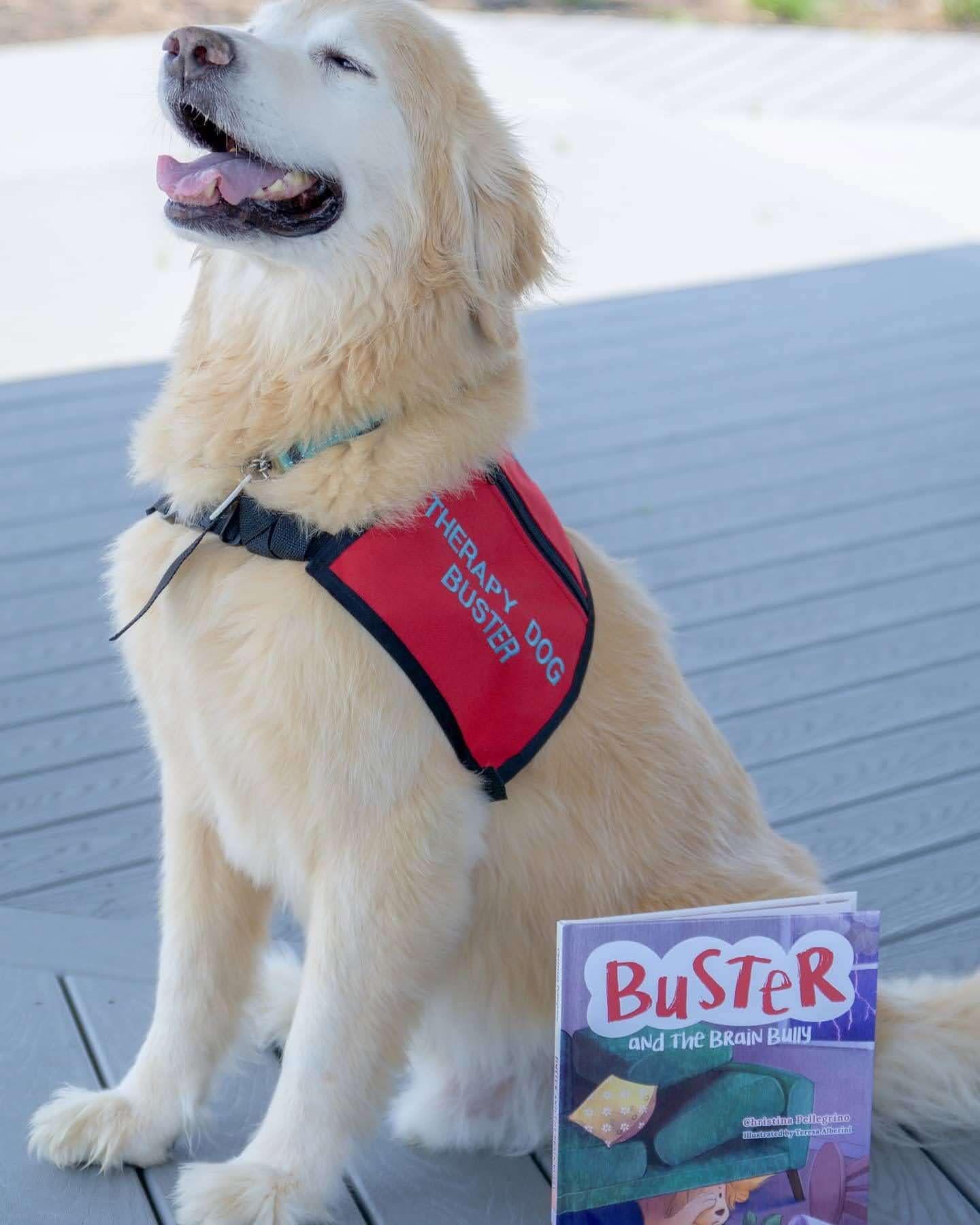 Happy therapy dog Buster with Cover of Buster and the Brain Bully by Christina Pellegrino