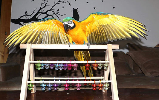 79545065_947517108952138_278547350908043