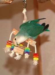 Miniature : Petit Fou